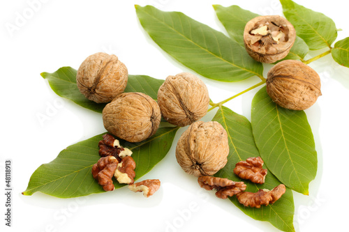 walnuts with green leaves, isolated on white