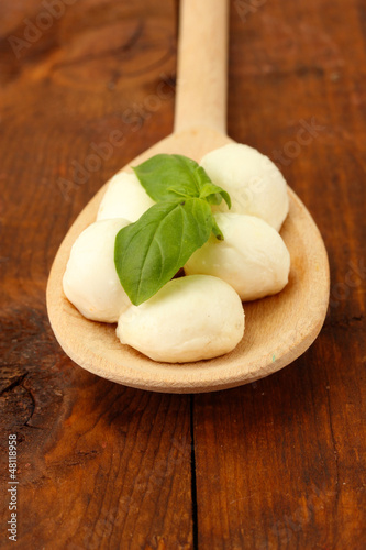 cheese mozzarella with green basil in wooden spoon