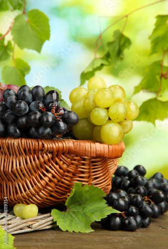 assortment of ripe sweet grapes in basket, on green background