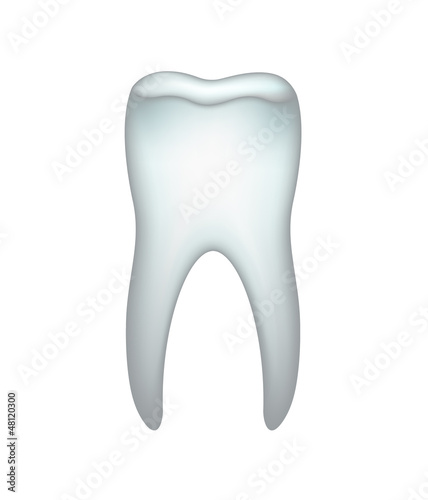 Tooth on a white background