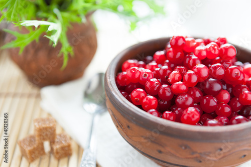 Fresh cranberries in a ceramic bowl