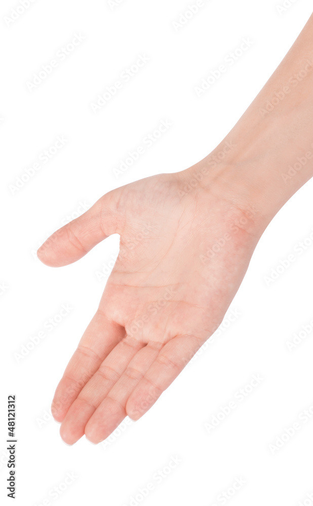 Empty open woman hand