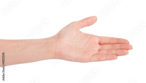 Empty open woman hand