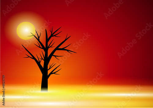 Baum Silhouette Abendrot © Schlegelfotos