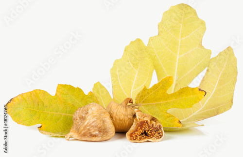 dried fig fruit