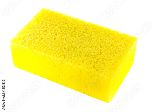Sponge