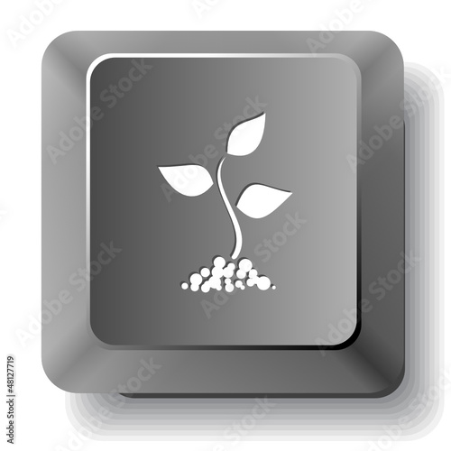 Sprout. Vector computer key.