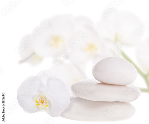 three stones and white orchids