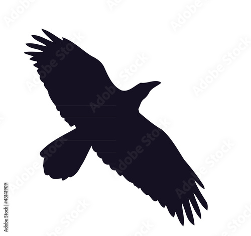 crow silhouette