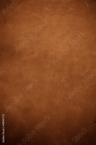 Brown leather © homydesign