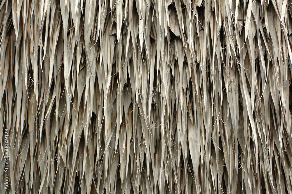 Thatched Roof Thatched Roof