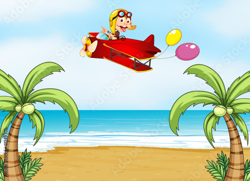 A monkey in airplane