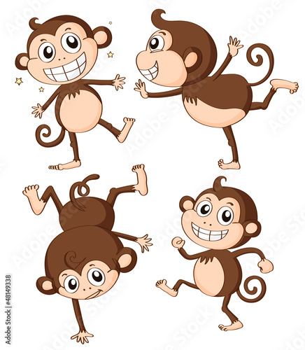 Four monkeys