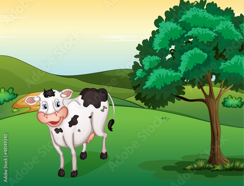 A smiling cow