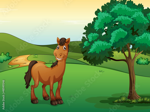 A smiling horse