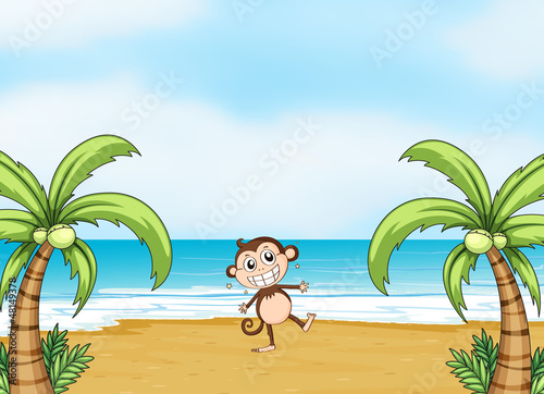 A monkey dancing on a beach