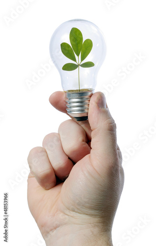 light bulb leaf