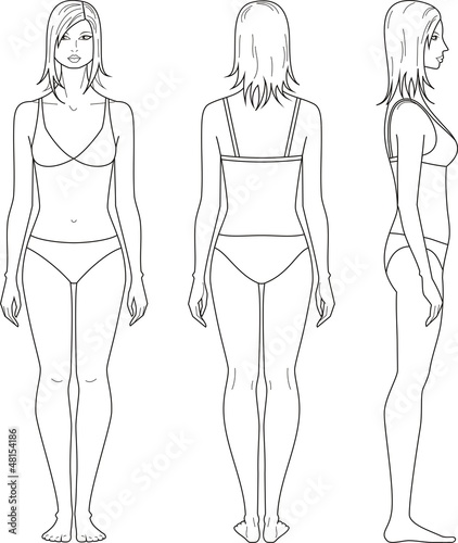Vector illustration of woman's figure