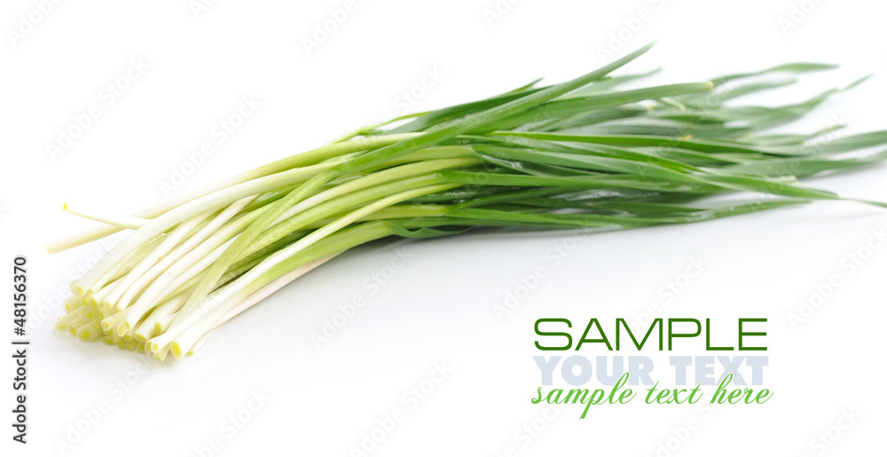 Fresh spring garlic on white background Fresh spring garlic on white background