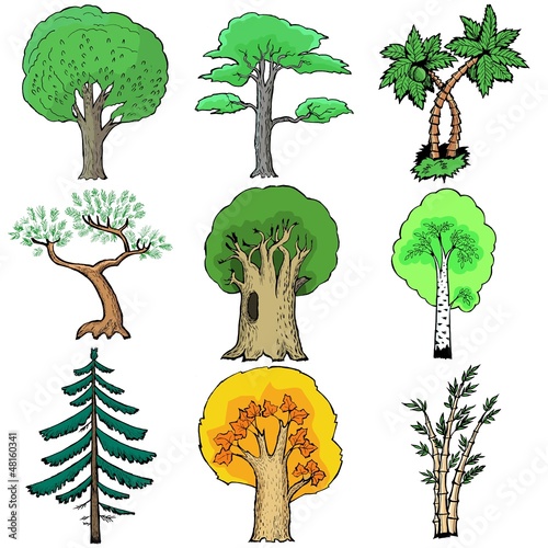 Set of cartoon, vector illustration of trees