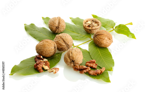 walnuts with green leaves, isolated on white