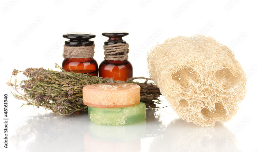 Loofah isolated on white Loofah isolated on white