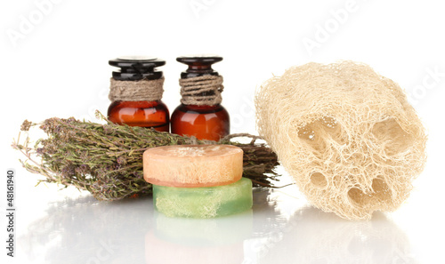 Obraz na płótnie Loofah isolated on white