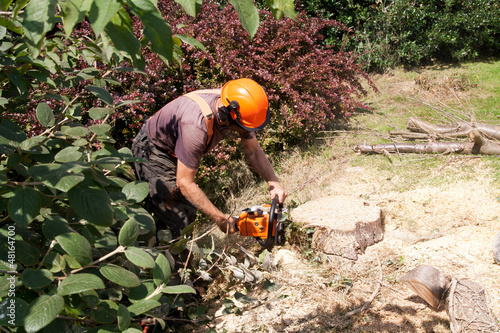 chain sawing tree trunk