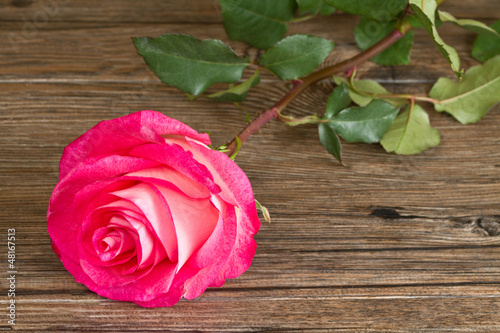 Fototapeta Naklejka Na Ścianę i Meble -  Beautiful pink roses on wooden background