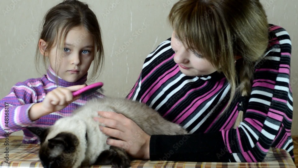 mother and daughter combed her cat