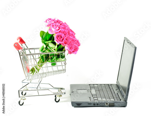 Retail Shopping Cart with PC