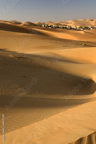 Abu Dhabi s desert