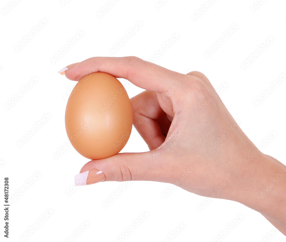 brown egg in woman hand isolated on white background brown egg in woman hand isolated on white background