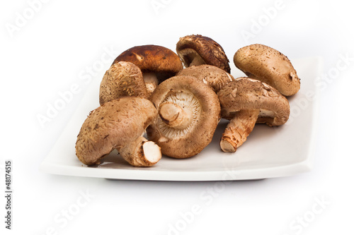 Fresh shiitake mushrooms on disk isolated on white background