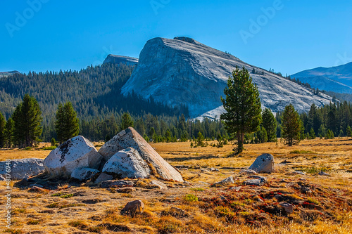 Tuolumne meadows in summer, Yosemite National Park. photo
