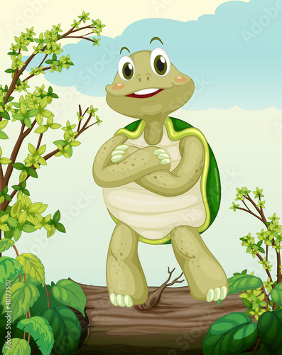 A turtle standing on dry wood