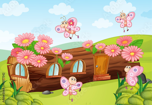 Butterflies and a wood house