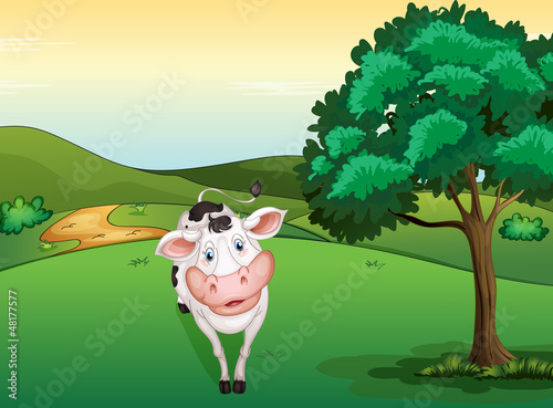 A smiling cow