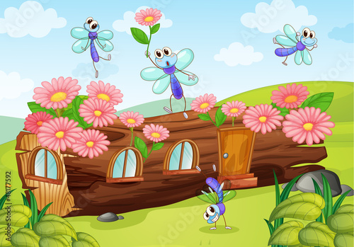 Flies and a wood house