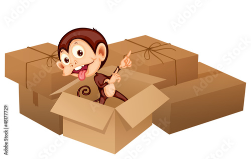 A smiling monkey and boxes