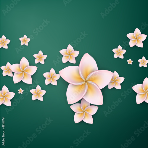 Pink plumeria (frangipani) flower background.