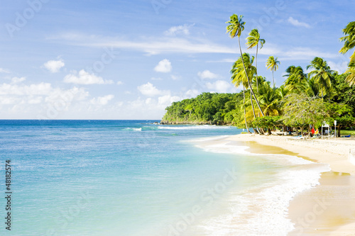 Mount Irvine Bay, Tobago photo