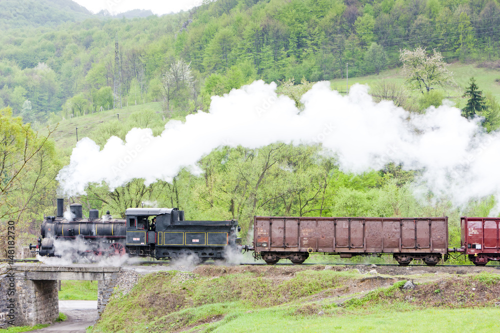 Obraz premium steam freight train (126.014), Resavica, Serbia