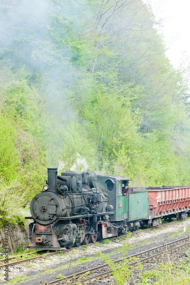 Naklejka premium kolej wąskotorowa, Banovici, Bośnia i Hercegowina