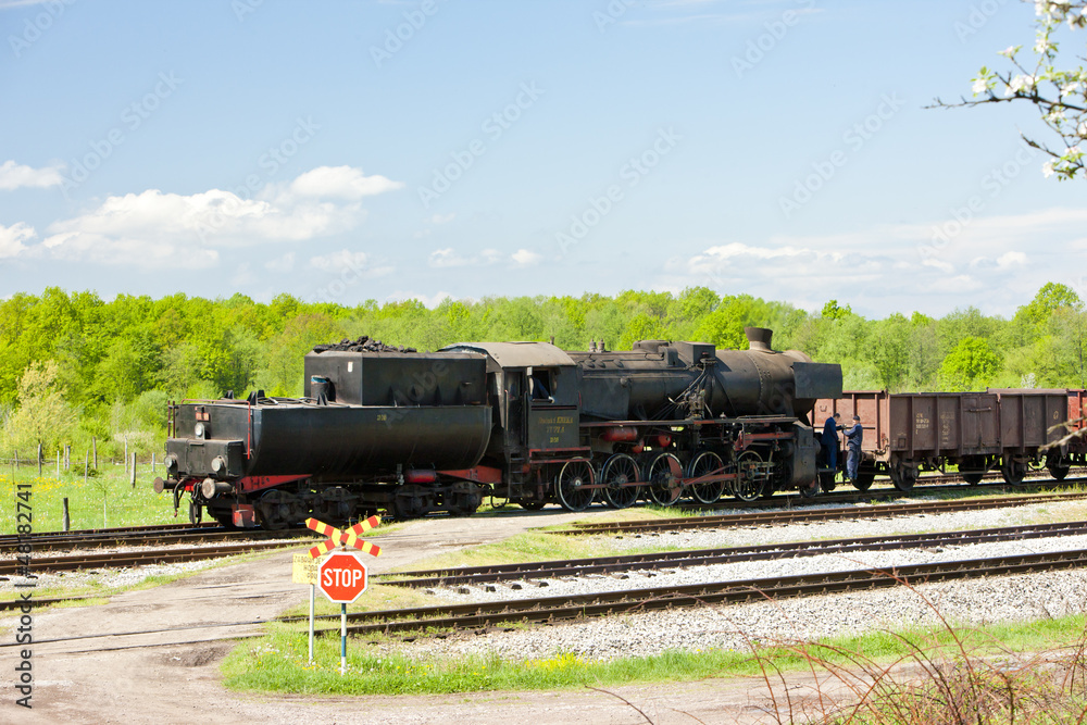 Naklejka premium steam freight train in Tuzla region, Bosnia and Hercegovina