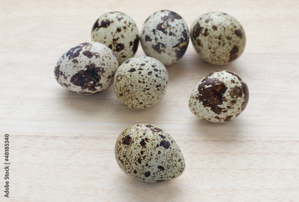 Fototapeta premium seven small quail eggs