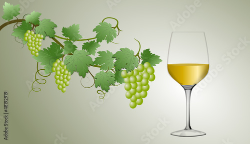 Weißwein im Glas mit Trauben