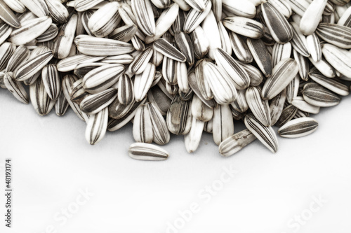 Sunflower seed