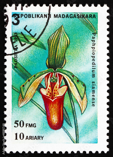 Postage stamp Malagasy 1993 Lady’s Slipper, Paphiopedilum Siam photo