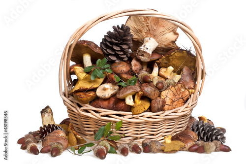 fresh mushrooms in basket